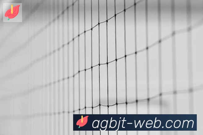 AG百家乐全站App